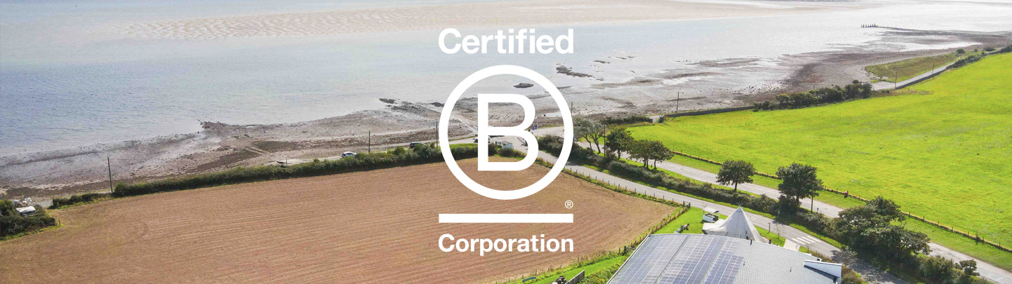 Celebrating ethical business: B Corp Month