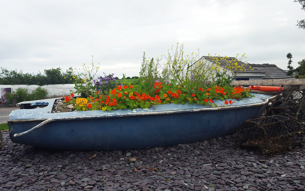 We've won a Sustainable Business Award!