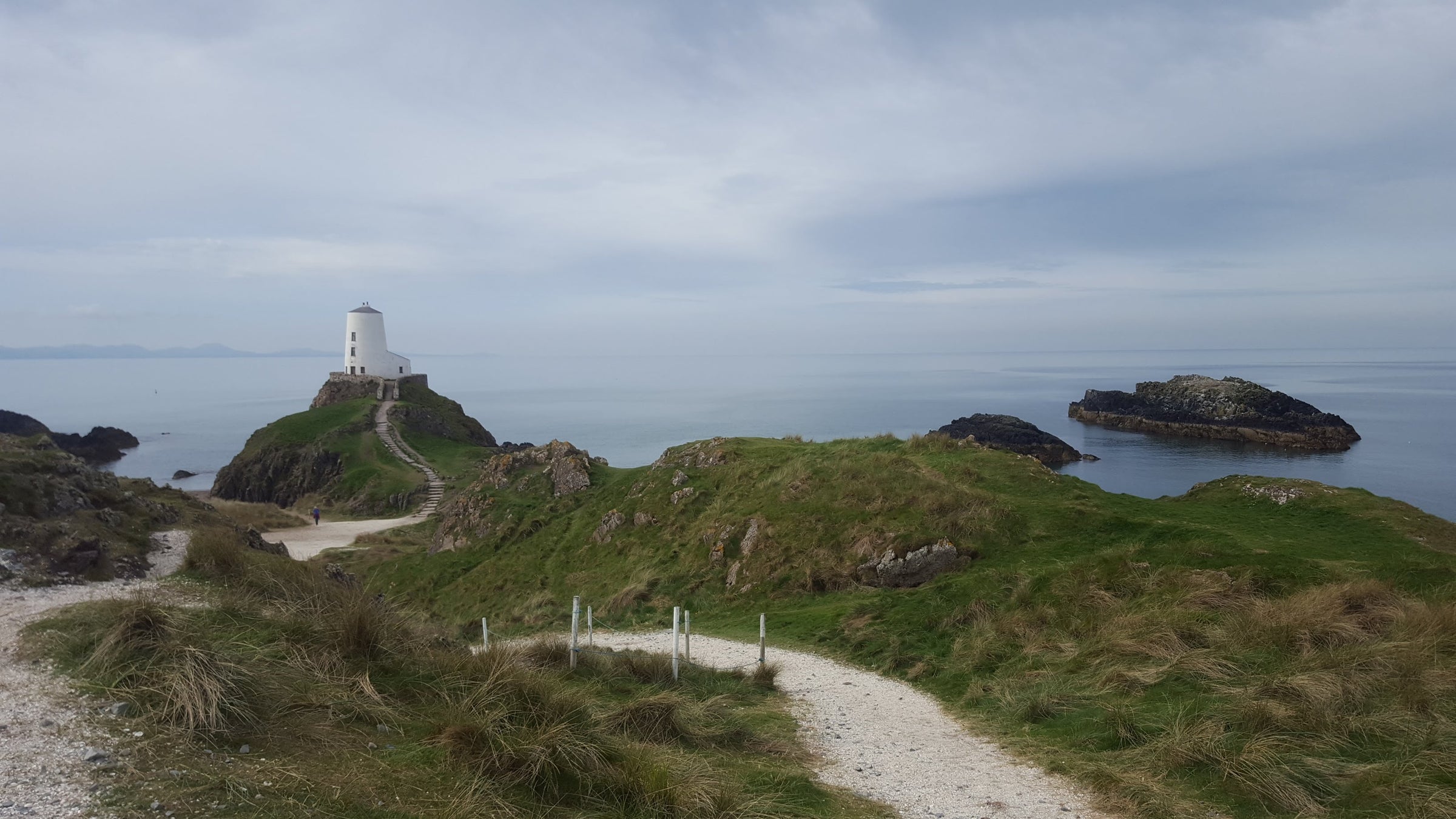 Dydd Santes Dwynwen