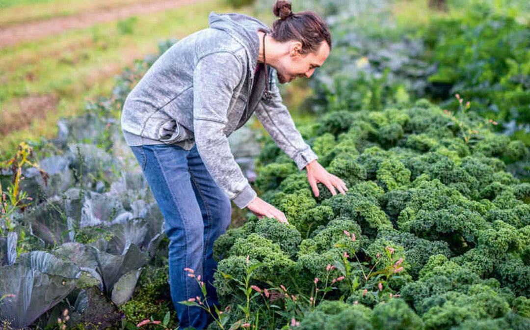 A Panad with...Chef & Food Writer Lee Watson