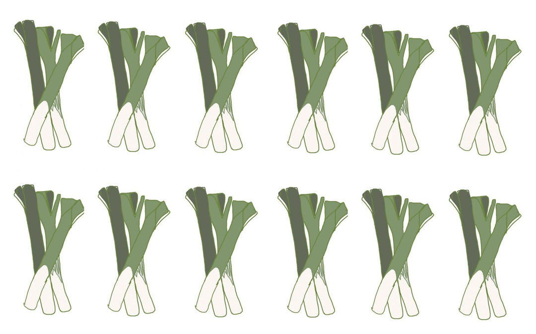 5 Welsh Proverbs for St David's Day