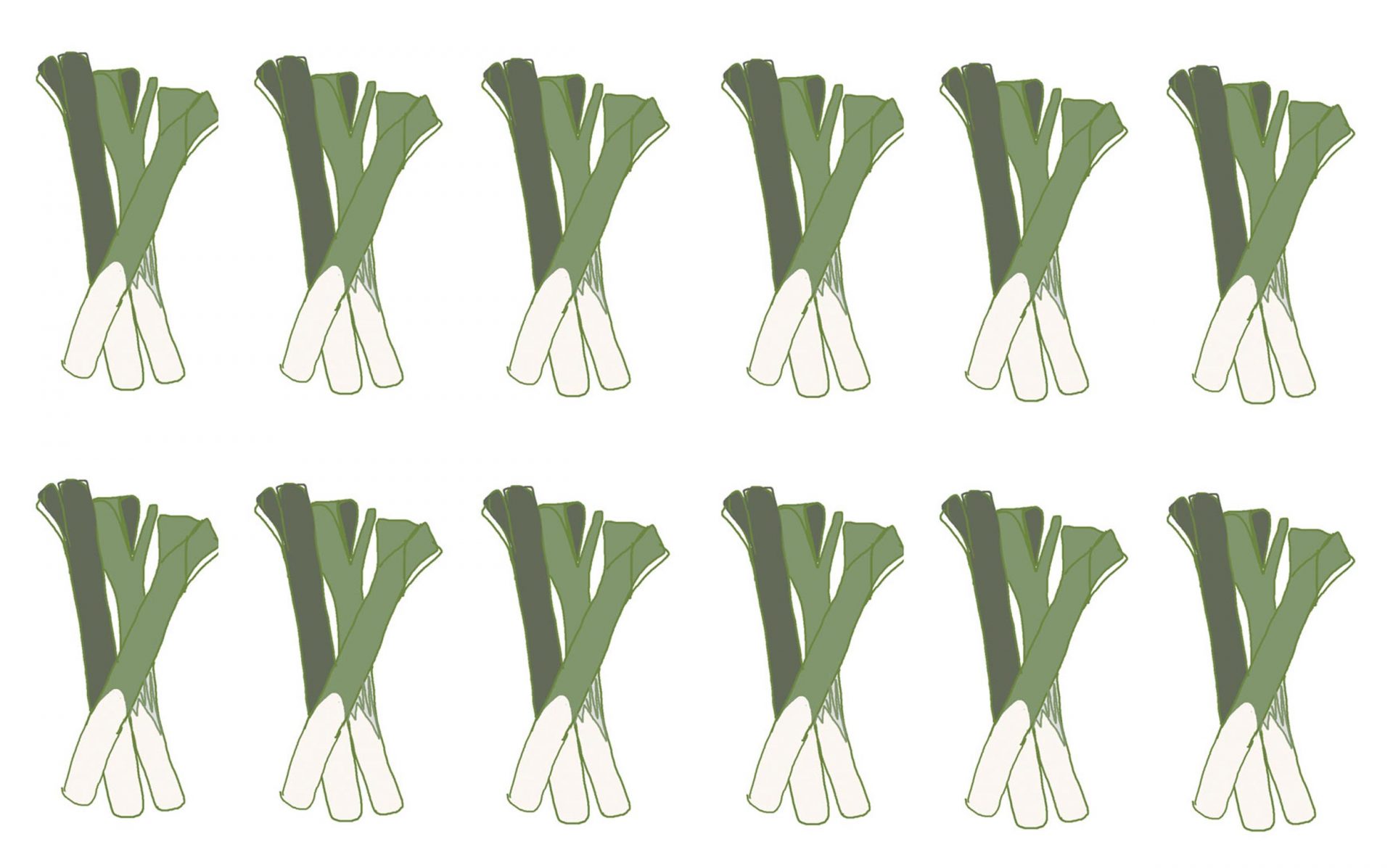 5 Welsh Proverbs for St David's Day