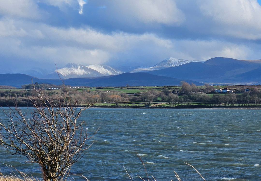 The scent of rain: What is petrichor?