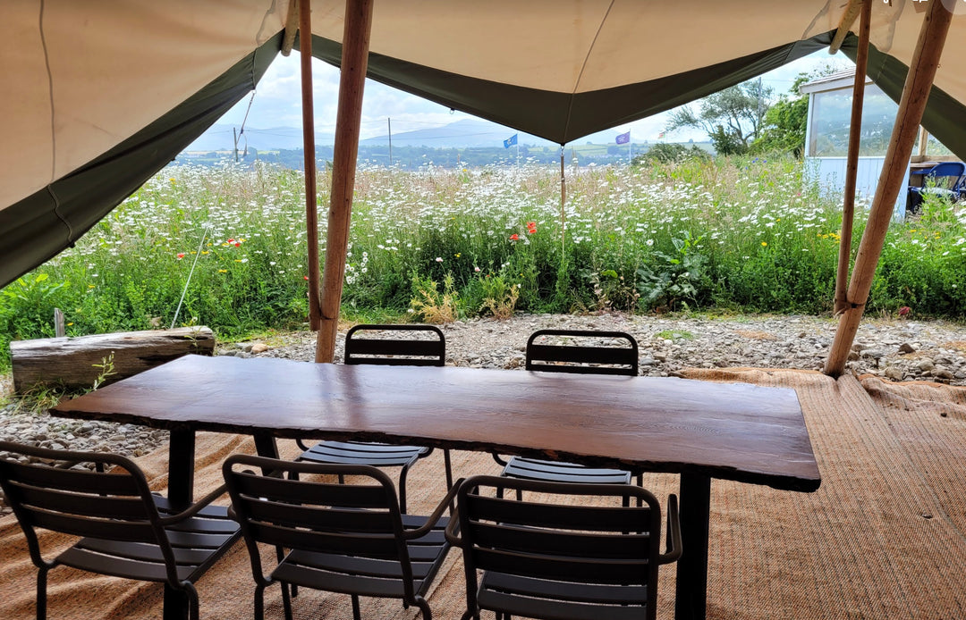 Host your community event at Tide/ Llanw