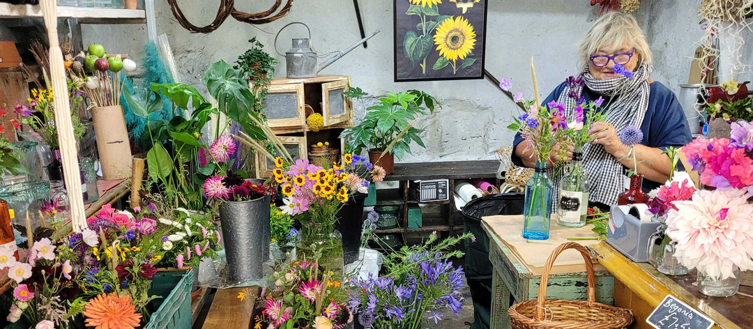 Creatives we love in North Wales