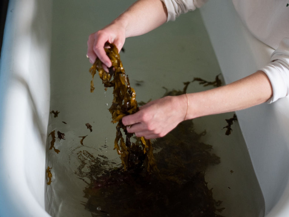 The ancient tradition of seaweed bathing