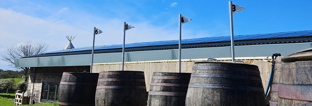 Unusual things to do in Wales