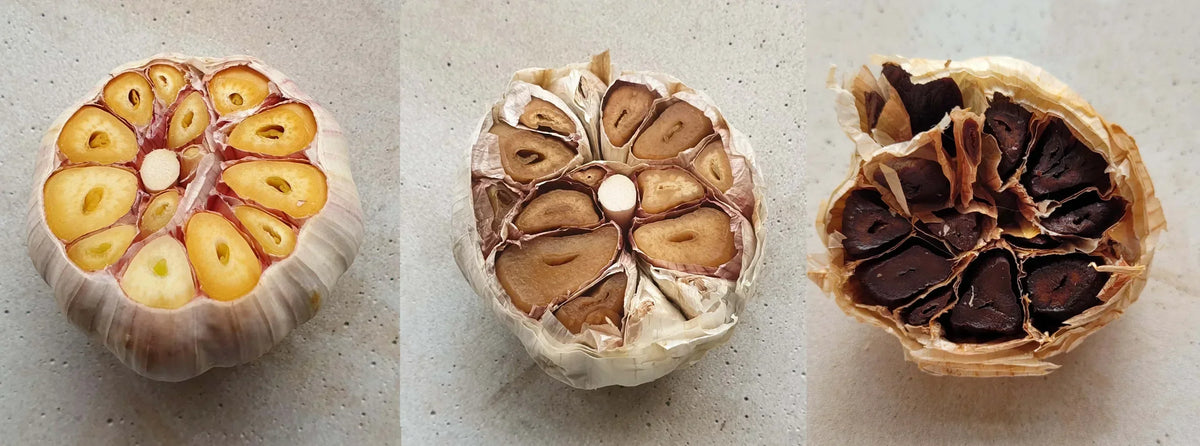 How To Make Black Garlic – Halen Môn