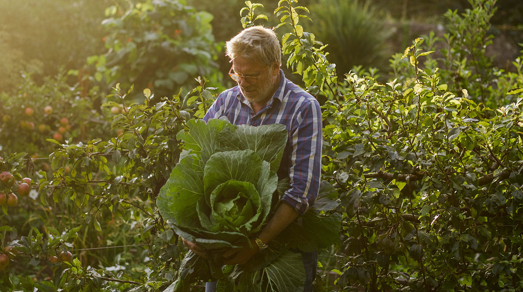 Gardening by the moon: why I'm going biodynamic