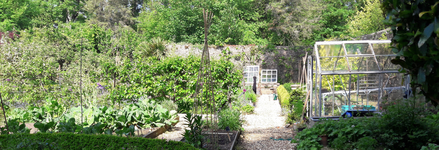 How to use seaweed in the garden