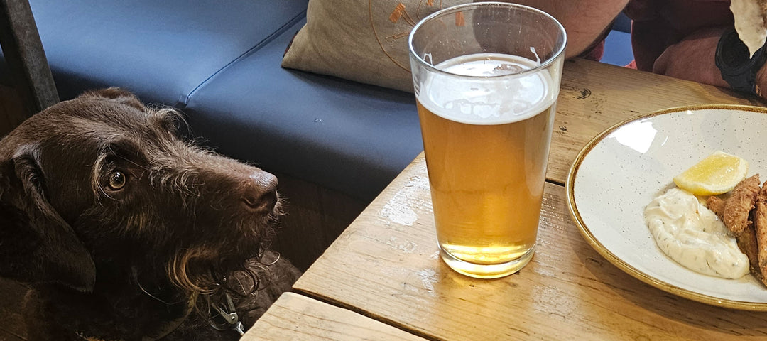 Favourite North Wales community pubs