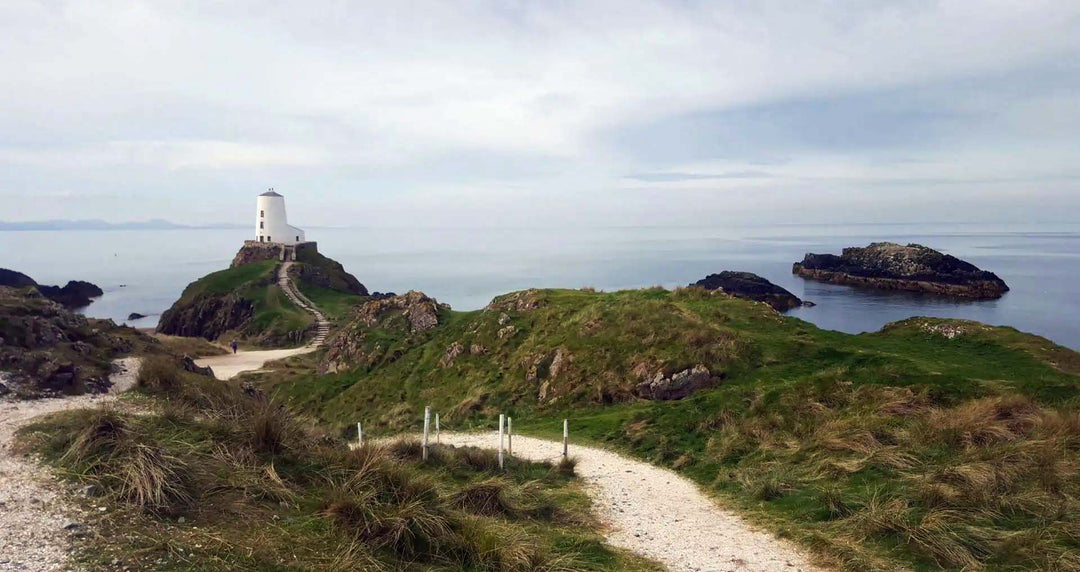 A Welsh Valentine's: St Dwynwen's Day