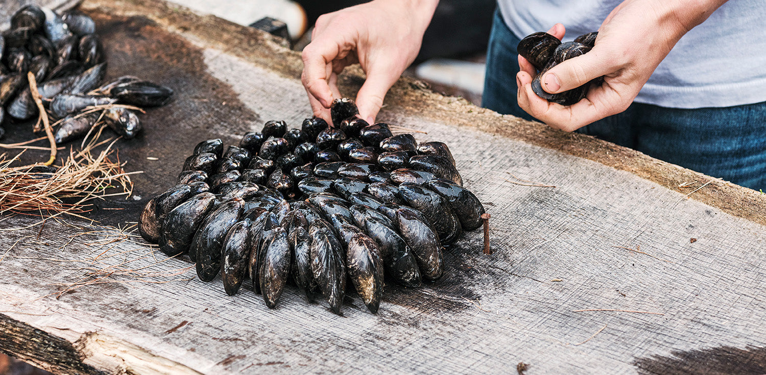 Eclade de Moules