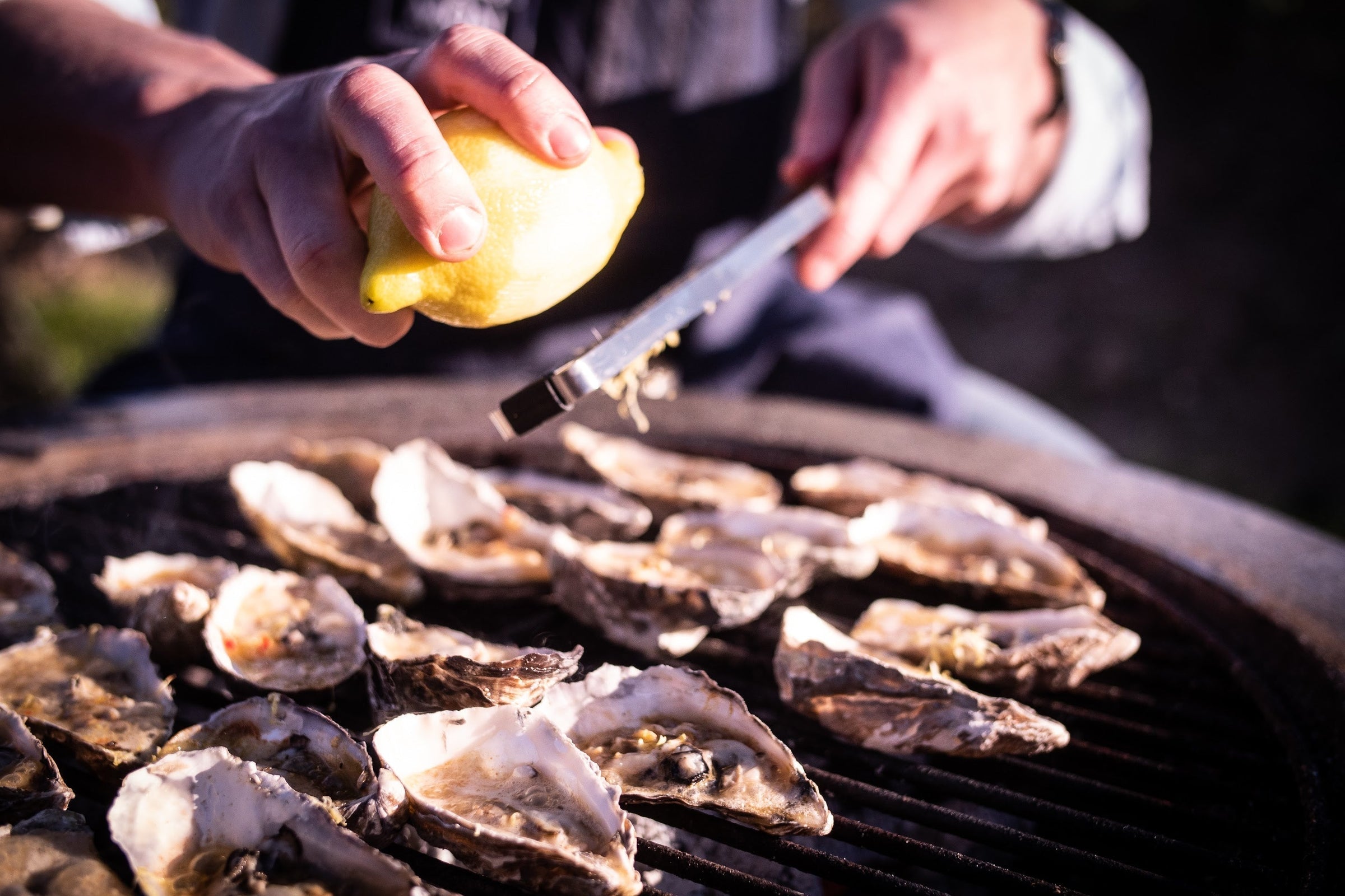 Where to buy local seafood in North Wales