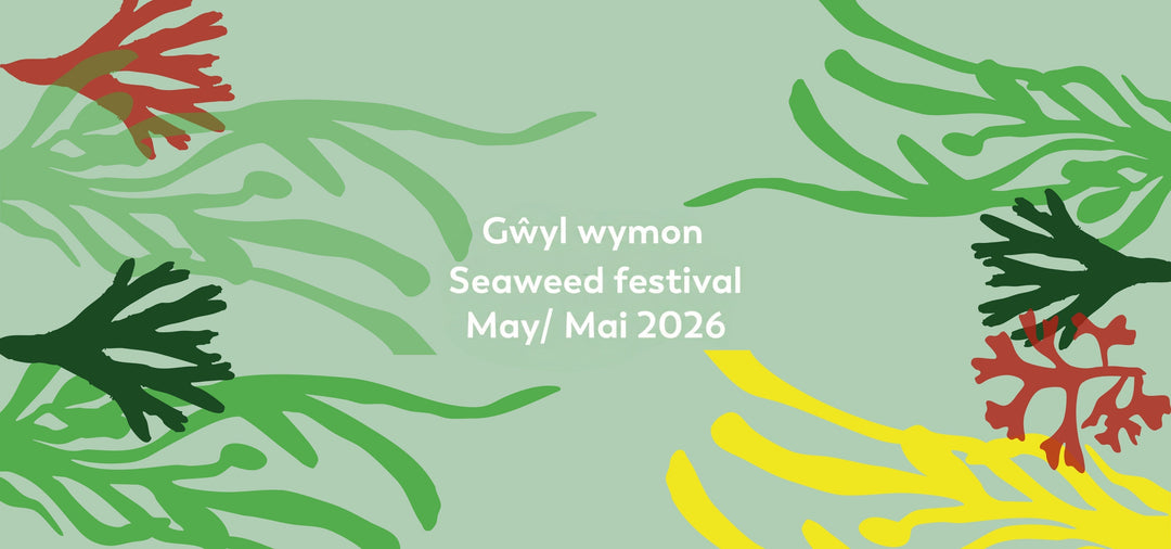 Halen Môn's Inaugural Seaweed Festival