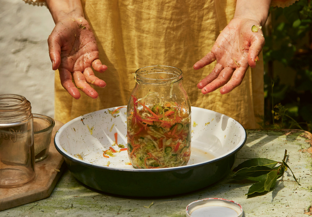 Alissa Timoshkina's Fermented Slaw
