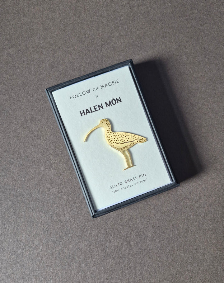 The Coastal Curlew Brass Pin