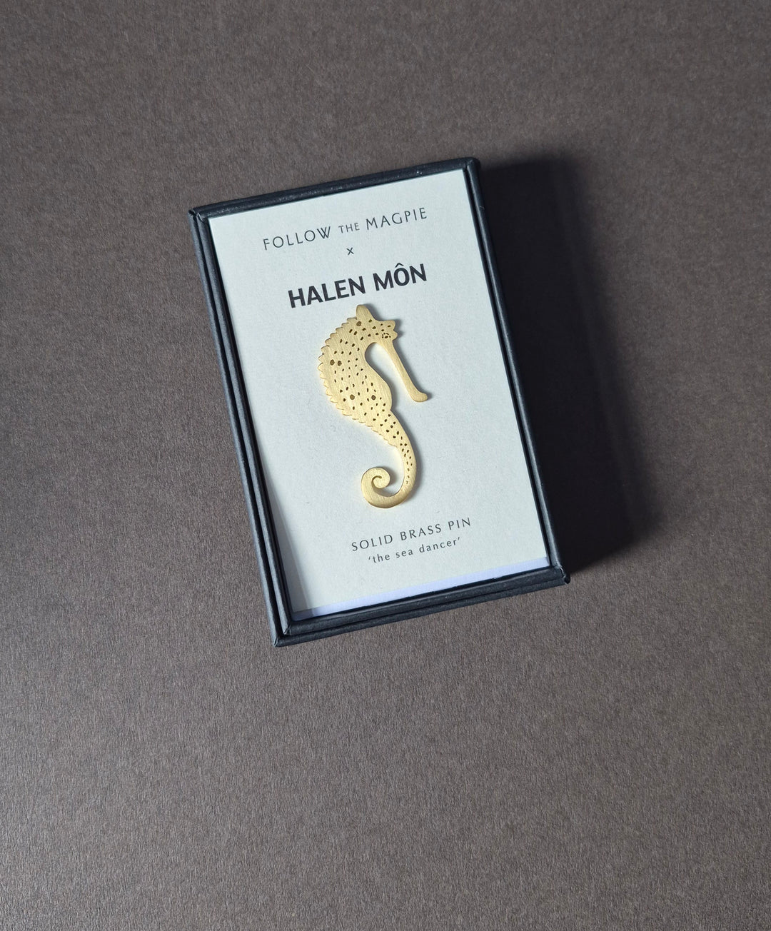 Seahorse Brass Pin