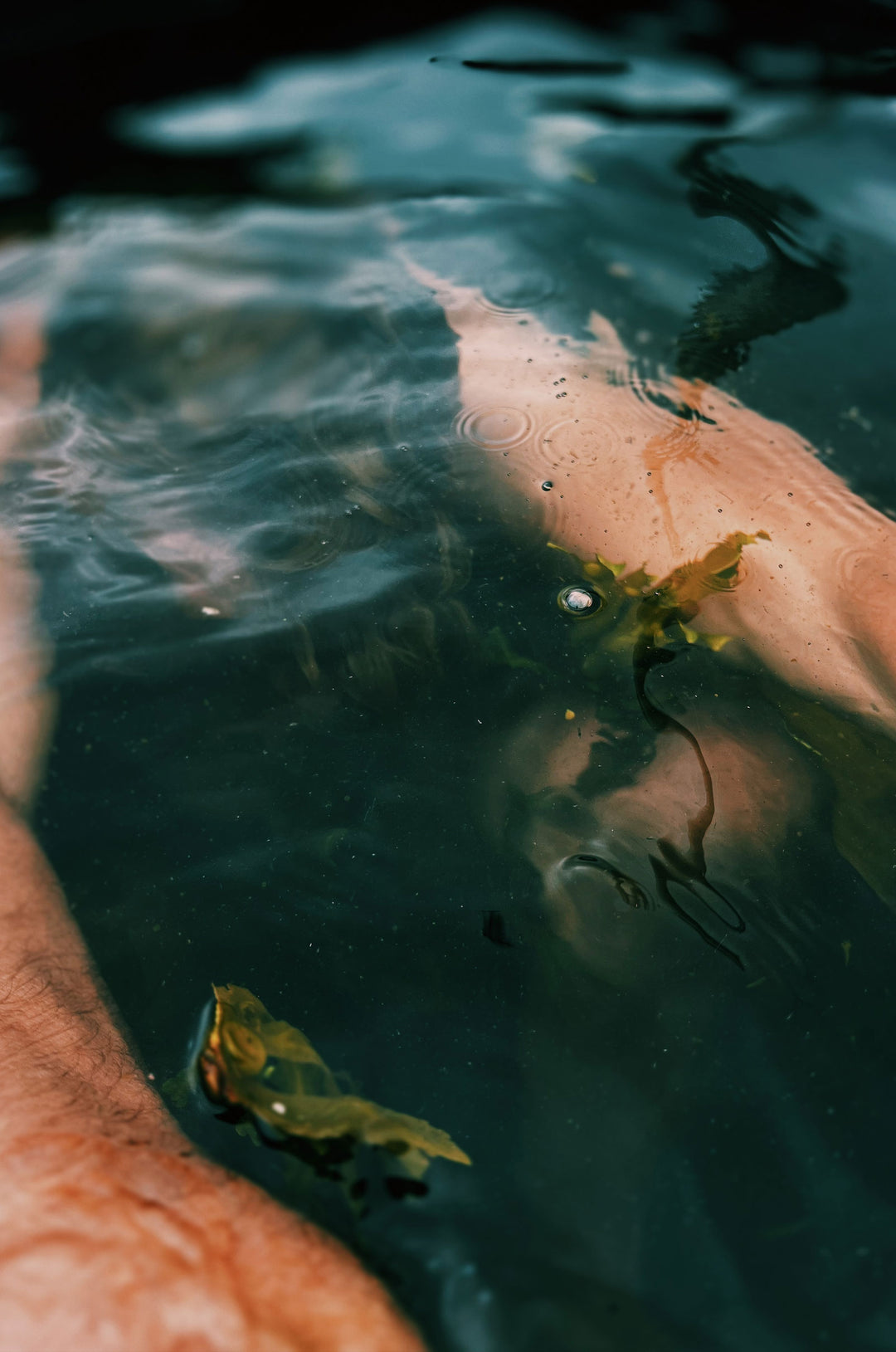 Wild Môn Seaweed Baths