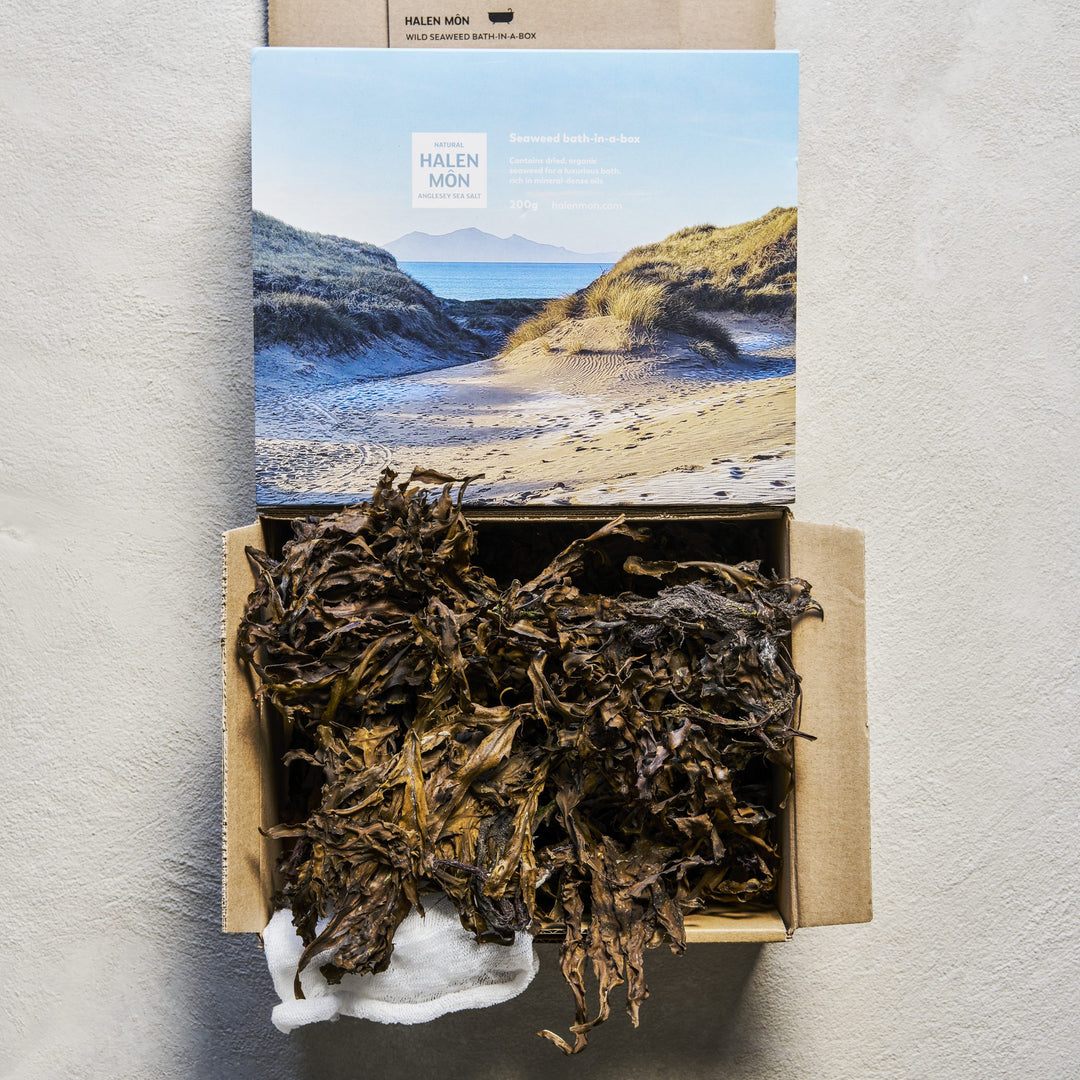 Wild seaweed bath-in-a-box