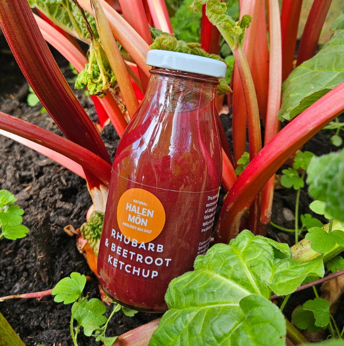 Rhubarb + Beetroot Ketchup