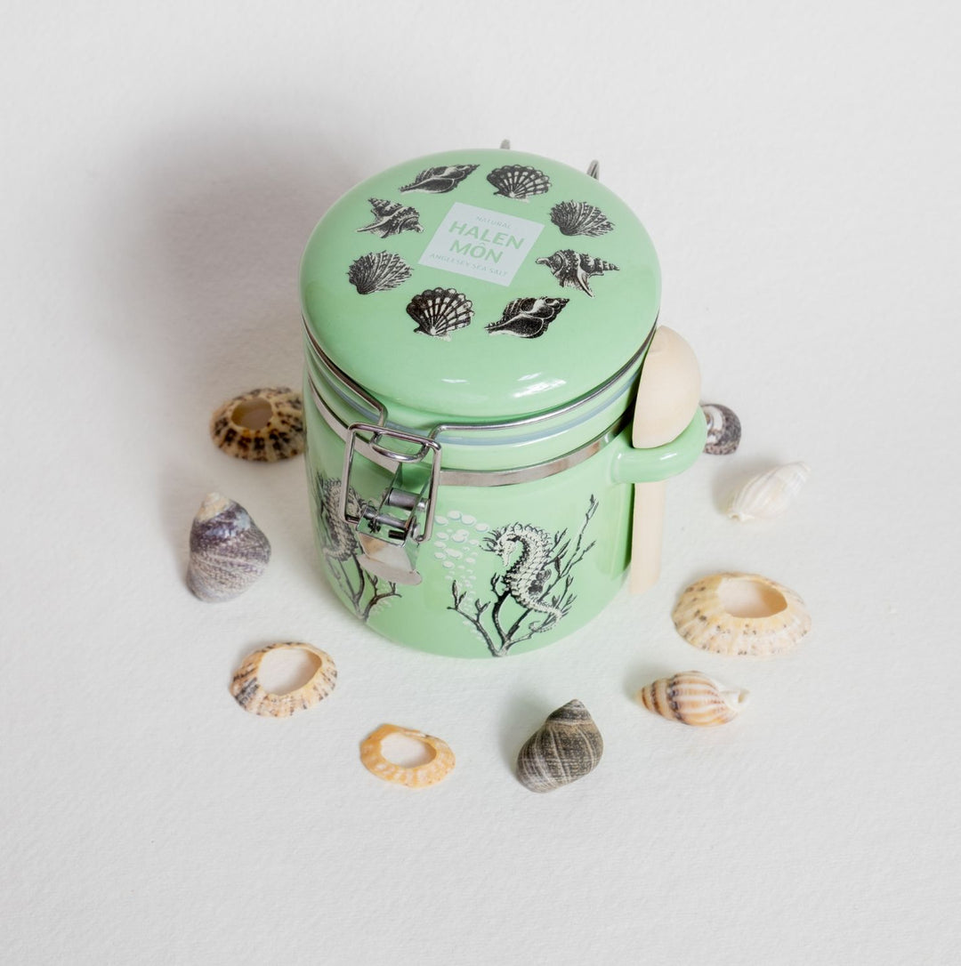 Her drawn shells, and some gathered ones.