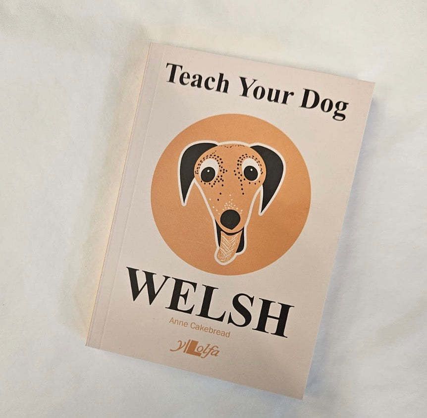 Teach your dog Welsh book