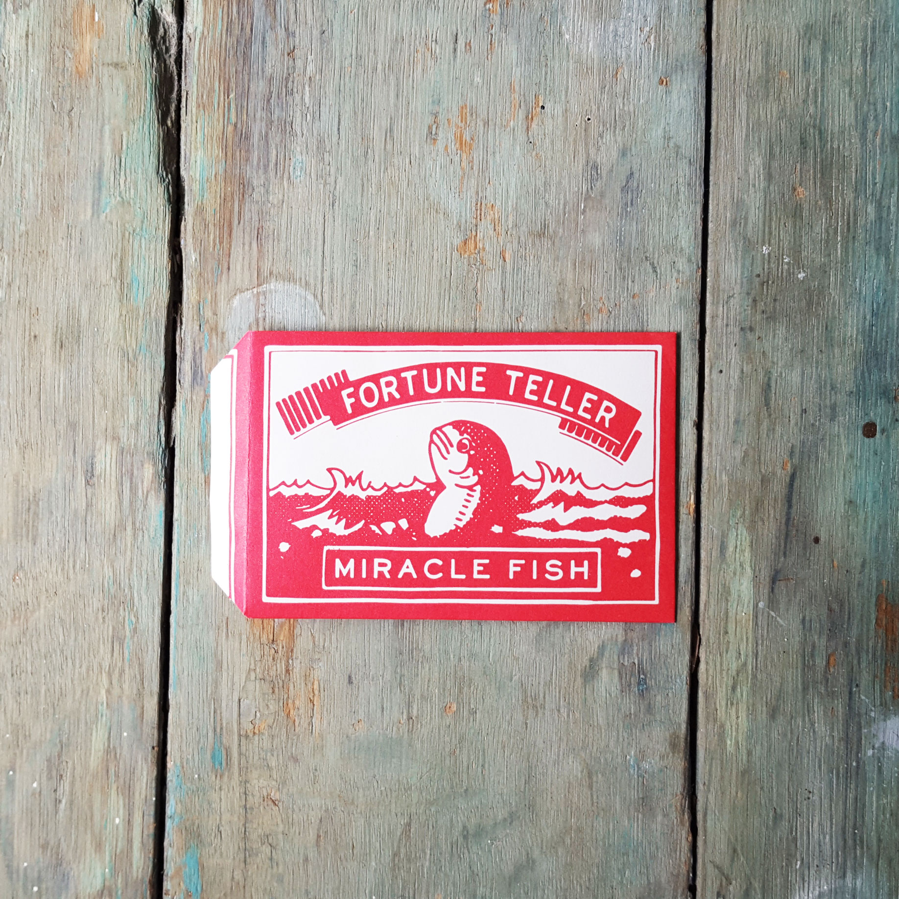 Fortune_fish Halen Môn