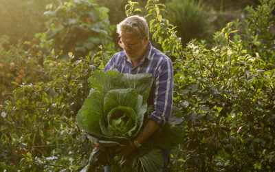 Gardening by the moon: why I’m going biodynamic