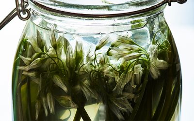 Nena Foster’s fermented three cornered leek