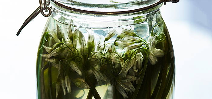 Nena Foster’s fermented three cornered leek