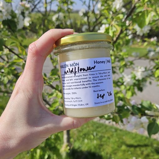 Welsh wildflower honey 250g