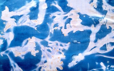 Seaweed in art: from dyes, to cyanotype, to poetry