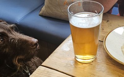 Favourite North Wales community pubs