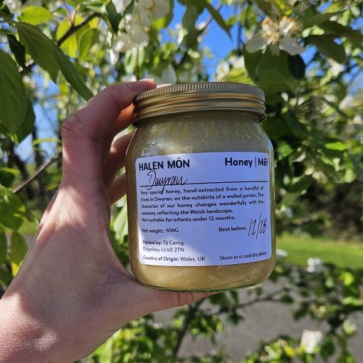 Welsh Dwyran honey 454g