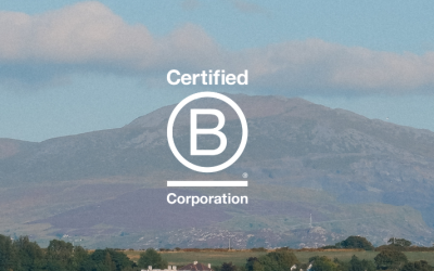 Ten things you might not know about B Corp